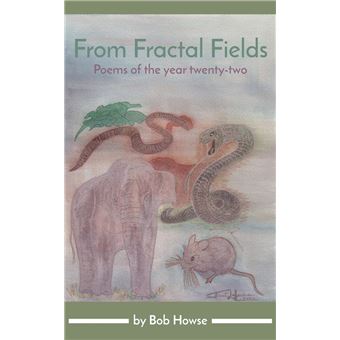 From Fractal Fields - 1