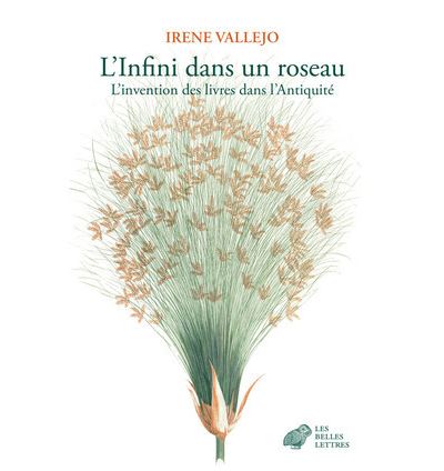 L-Infini-dans-un-roseau.jpg?042148