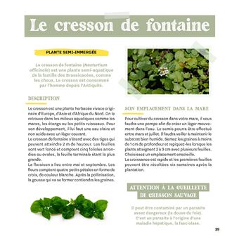 Créer une mare dans mon jardin