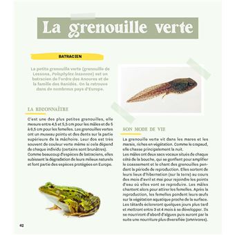 Créer une mare dans mon jardin