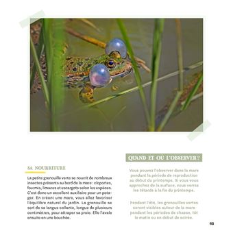 Créer une mare dans mon jardin