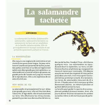 Créer une mare dans mon jardin