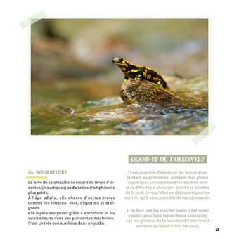 Créer une mare dans mon jardin