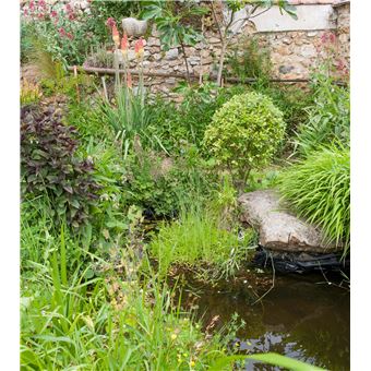 Créer une mare dans mon jardin