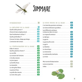 Créer une mare dans mon jardin