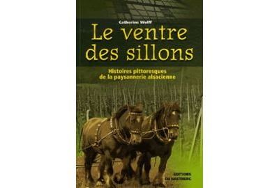 Dans le ventre des sillons