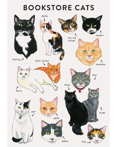 BIBLIOPHILE FEXI:BOOKSTORE CATS