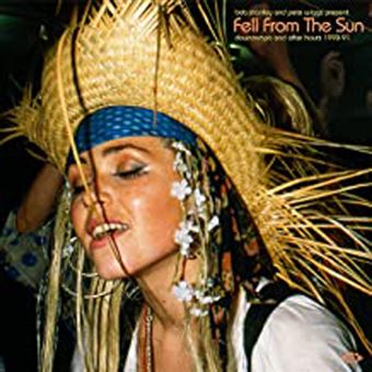 Bob Stanley & Pete Wiggs present Fell from the Sun - CD