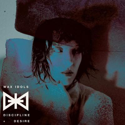 Discipline and desire