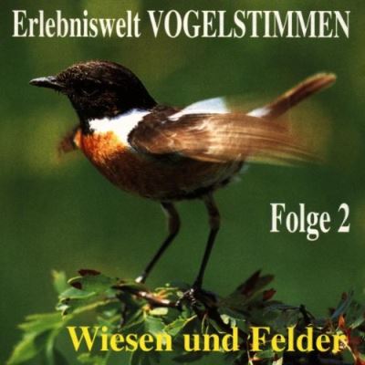 Erlebniswelt vogelstimmen v 2