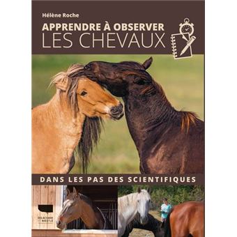 Apprendre à observer les chevaux