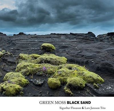 Green moss black sand