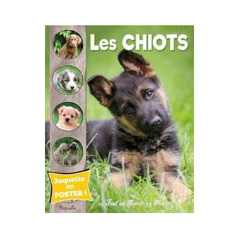Les chiots