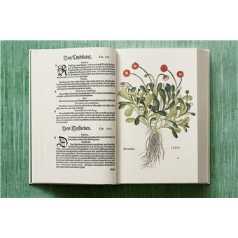 Leonhart Fuchs. Le Nouvel Herbier