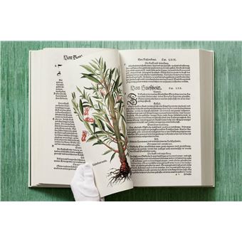 Leonhart Fuchs. Le Nouvel Herbier