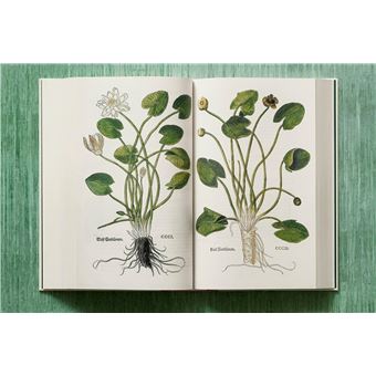 Leonhart Fuchs. Le Nouvel Herbier