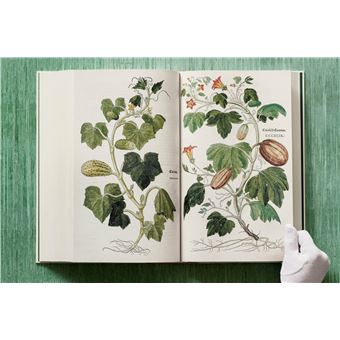 Leonhart Fuchs. Le Nouvel Herbier