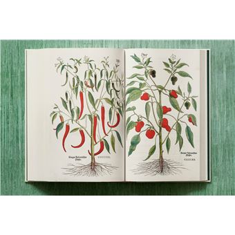 Leonhart Fuchs. Le Nouvel Herbier