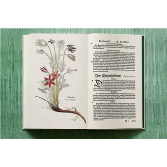 Leonhart Fuchs. Le Nouvel Herbier