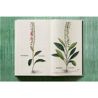 Leonhart Fuchs. Le Nouvel Herbier