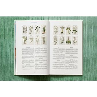 Leonhart Fuchs. Le Nouvel Herbier