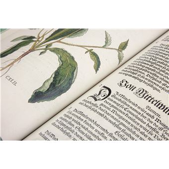 Leonhart Fuchs. Le Nouvel Herbier