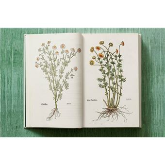 Leonhart Fuchs. Le Nouvel Herbier