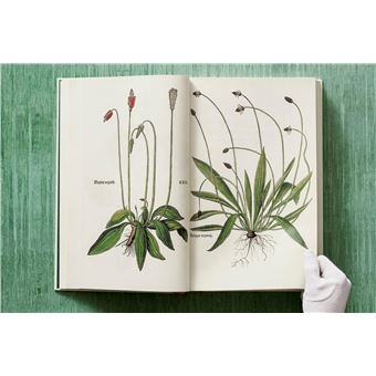 Leonhart Fuchs. Le Nouvel Herbier