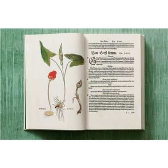 Leonhart Fuchs. Le Nouvel Herbier