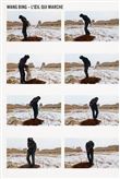 Wang Bing