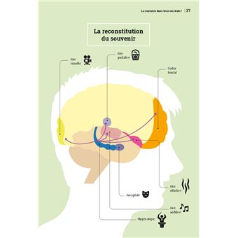 Mémoire et concentration au top !