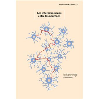 Mémoire et concentration au top !