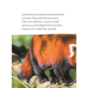 Défis nature   Premières lectures   Attention, petit panda roux!