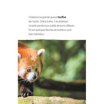 Défis nature   Premières lectures   Attention, petit panda roux!