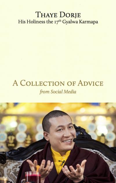 A collection of advice - Karmapa Thayé Dorjé - broché