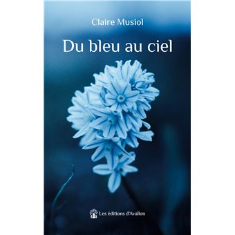 Du bleu au ciel
