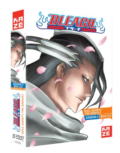 Bleach Saison 2 Partie 2 sur 2 DVD