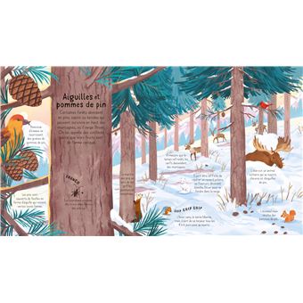 La forêt - P'tits curieux Usborne