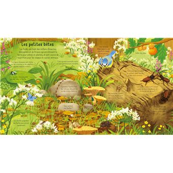 La forêt - P'tits curieux Usborne