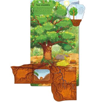 La forêt - P'tits curieux Usborne