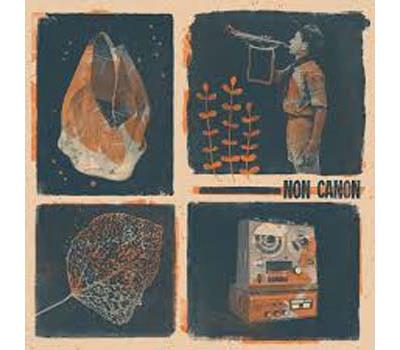 Non cannon