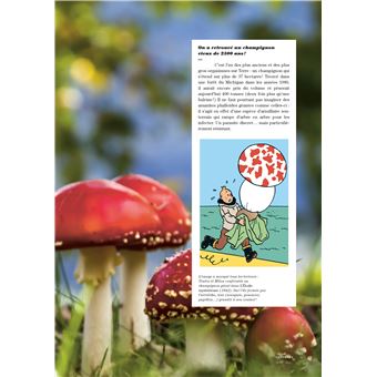 Tintin - C'est l'aventure 3