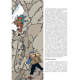 Tintin - C'est l'aventure 3