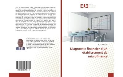 Diagnostic financier d'un établissement de microfinance