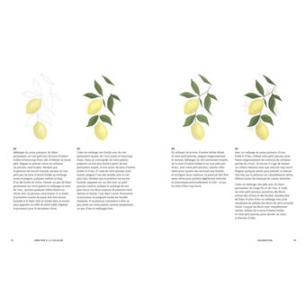 Débuter à la gouache