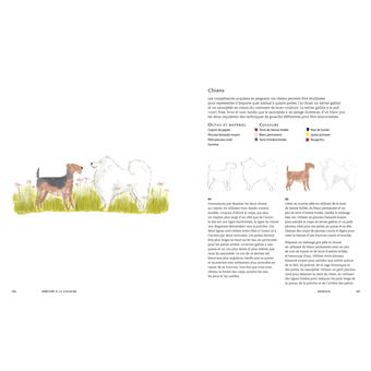 Débuter à la gouache