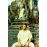 Kickboxer DVD_11