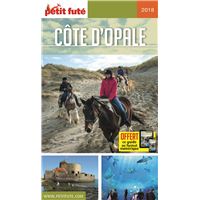 Petit Fute Hauts De France Nord Pas De Calais Edition 2018 2019 Avec Offre Numerique Broche Collectif Achat Livre Fnac