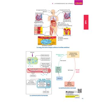 Prépabac 1re ST2S - Toutes les matières - Cours et entraînement au contrôle continu 2023