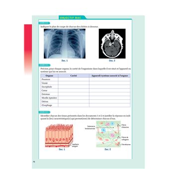 Prépabac 1re ST2S - Toutes les matières - Cours et entraînement au contrôle continu 2023